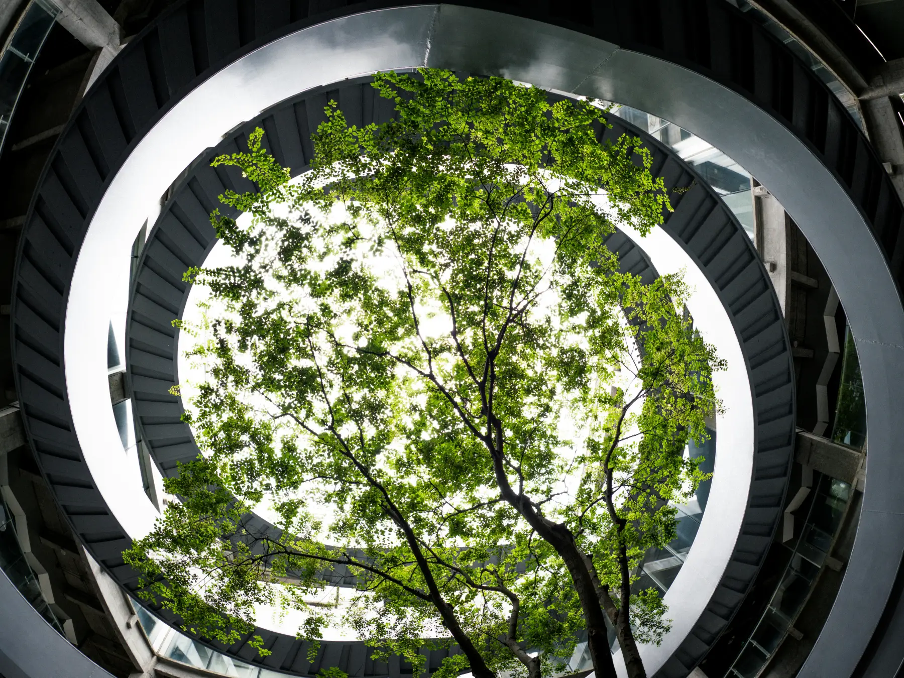 Valorisation énergétique des déchets par Dryft